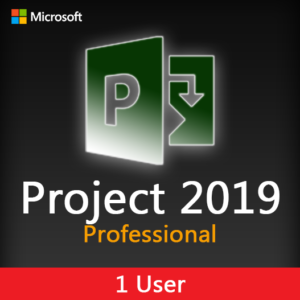 MICROSOFT PROJECT 2019 Professional