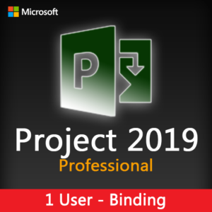MICROSOFT PROJECT 2019 Professional Binding