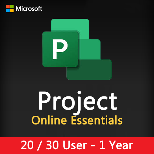 Microsoft Project Online Essentials