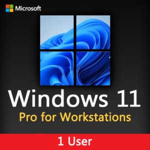 Windows 11 Pro for Workstations