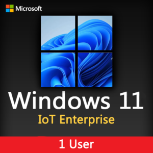 Windows 11 IoT Enterprise